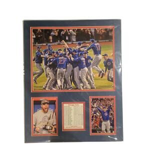 Chicago Cubs 2016 World Series Champs Celebration Collectible Poster Picture